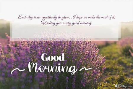 Lavender Good Morning Images Pics Download & Share