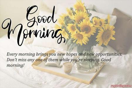 Lovely Sunflowers Good Morning Wishes Card Images Download