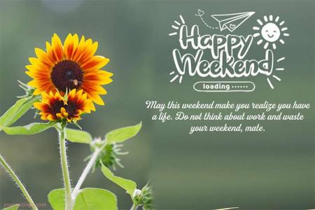Sunflower Happy Weekend Greeting Card Images Download
