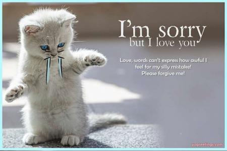 I Am Sorry Card For Lover With Cute Cat