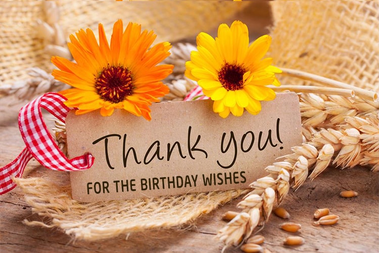 Birthday Thank You Cards And Notes