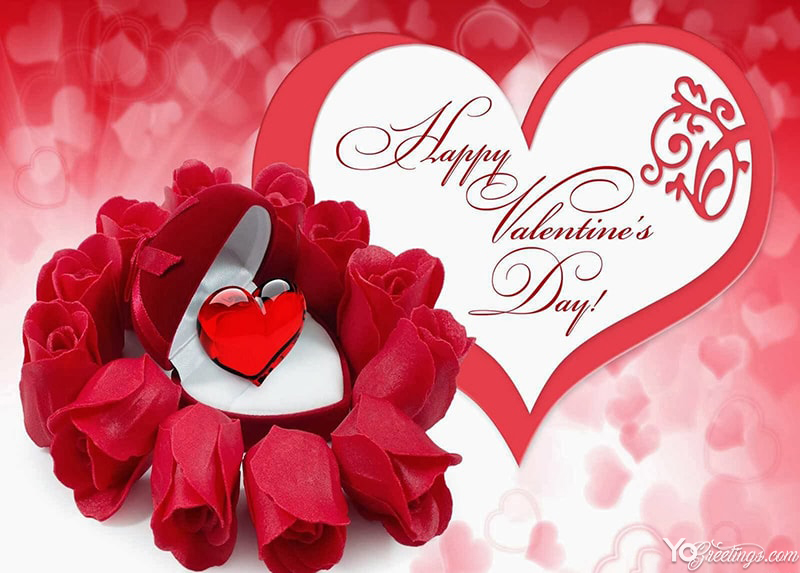 Download pictures of happy Valentines Day with romantic red rose
