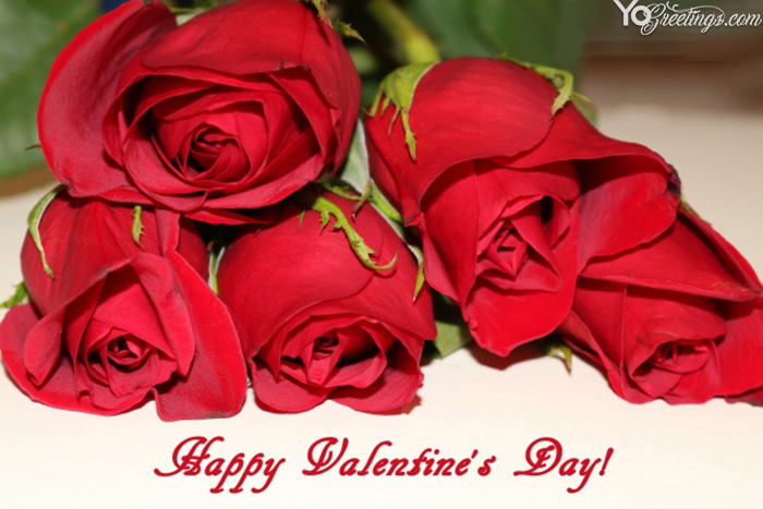 Top 15+ Valentine's Day images, greetings and pictures