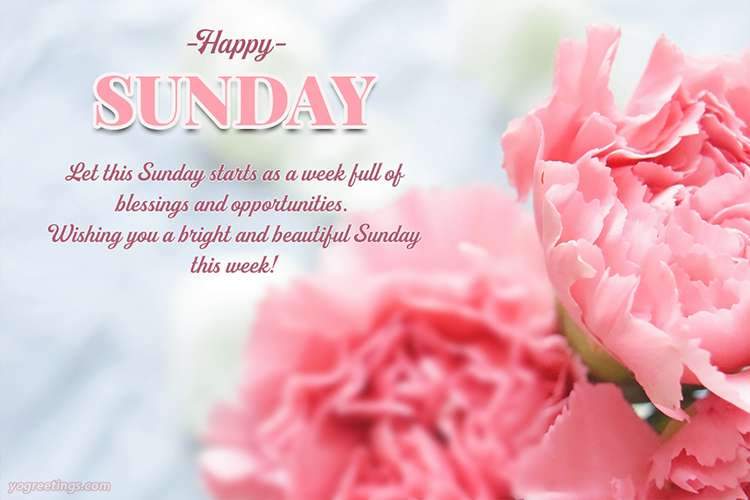 Happy Sunday Images Card With Pink Flowers
